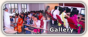 Gallery - click here